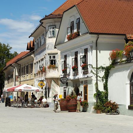 Pension Lectar Hotel Radovljica Exterior photo