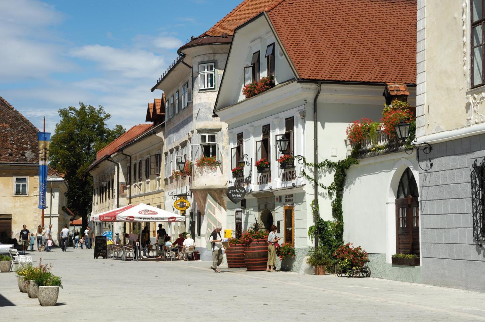 Pension Lectar Hotel Radovljica Exterior photo